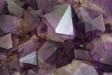Beautiful, Purple Amethyst Crystal Cluster - Congo #148648-1